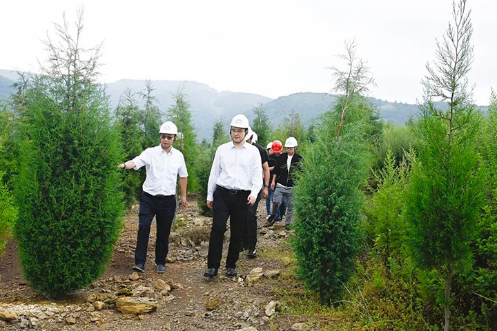 自然资源部矿产资源；；；；；；ぜ嗍铀臼褂眉嗍哟Ω贝Τに镉莱恍械较确婷阂档餮新躺笊浇ㄉ枋虑