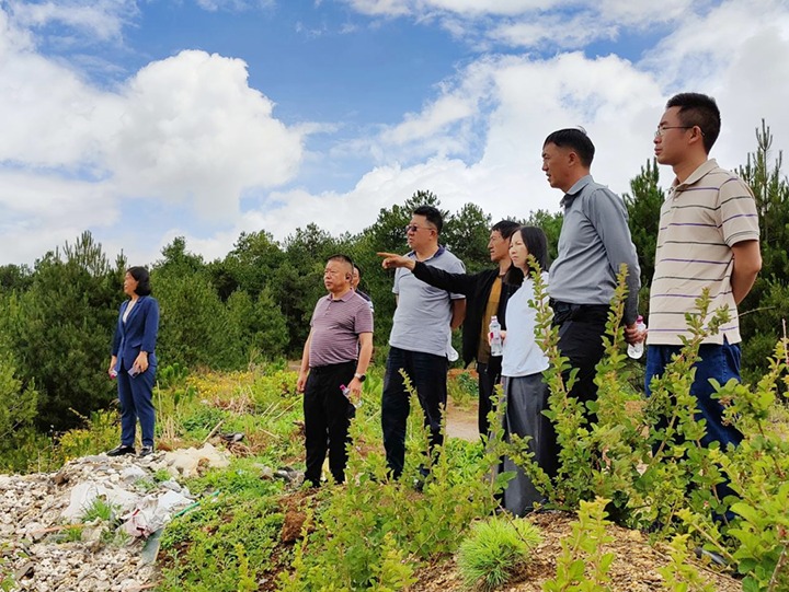 【主题教育】云煤（拉斯维加斯官网）集团专职外部董事寸延峰，，，，，，，，集团党委委员、财务总监莫晓丹到马厂煤矿、汉家厂煤矿、竹麻地煤矿开展主题教育调研