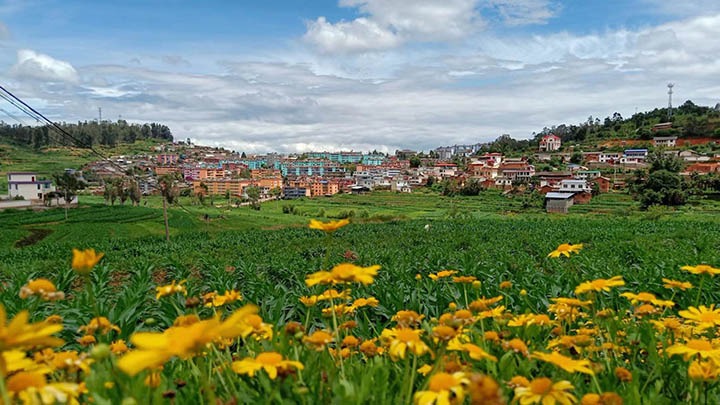 【云煤岁月】笃行不辍营生长，，，，，，砥砺奋进谱新篇——平煤故事（一）