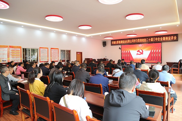 云南东源恒鼎煤业有限公司党委组织开展党的二十届三中全会宣讲运动