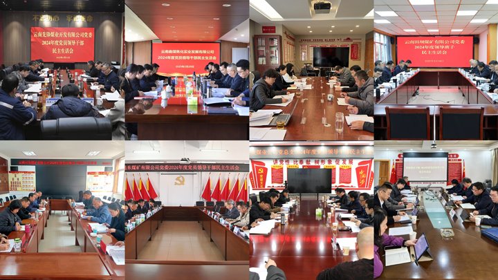 盘问题 抓整改 促生长｜集团党委高质量完成2024年度民主生涯会督导事情